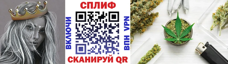 что такое наркотик  Мураши  Бошки Шишки ГИДРОПОН 